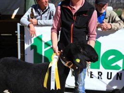 2019_ausstellung polling_294